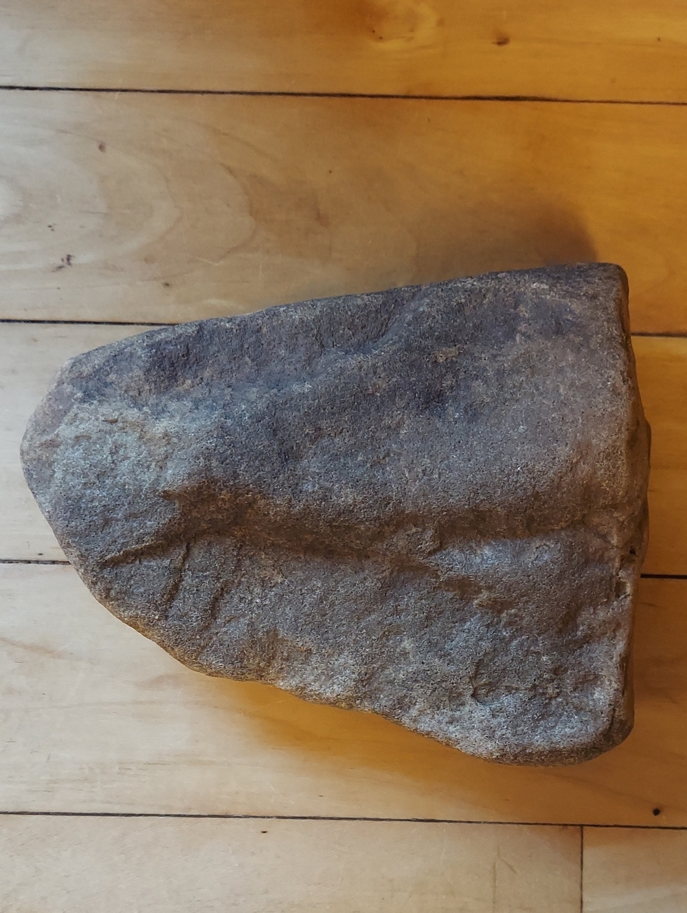 Rock That Looks Like A Prehistoric Fish Fossil (But Probably Isn't)